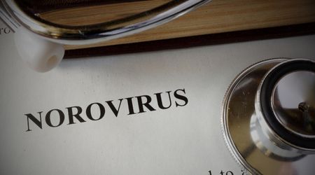 Norovirüs belirtileri