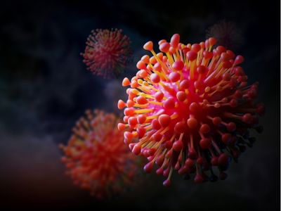 HPV nasıl bulaşır, kimler risk altındadır
