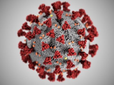 HPV virüsü vücutta kalıcı mı?