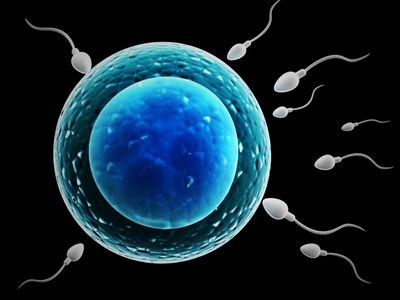 sperm kalitesi nasıl artırılır